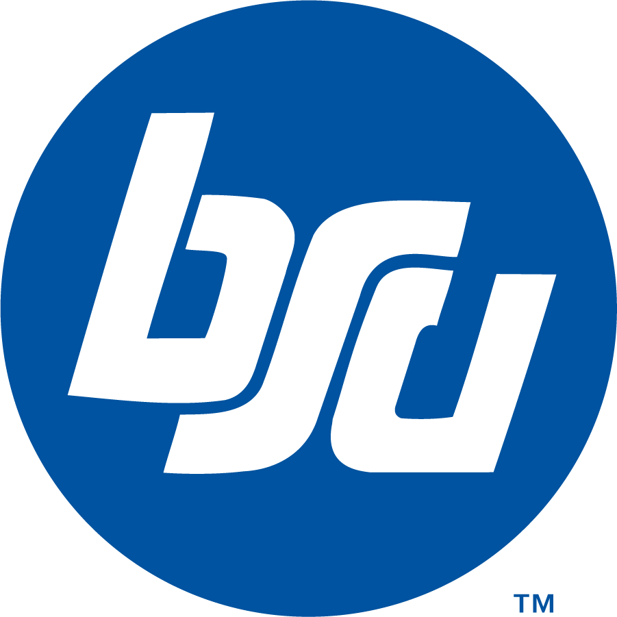Boise State Broncos 1974-2002 Secondary Logo DIY iron on transfer (heat transfer)
